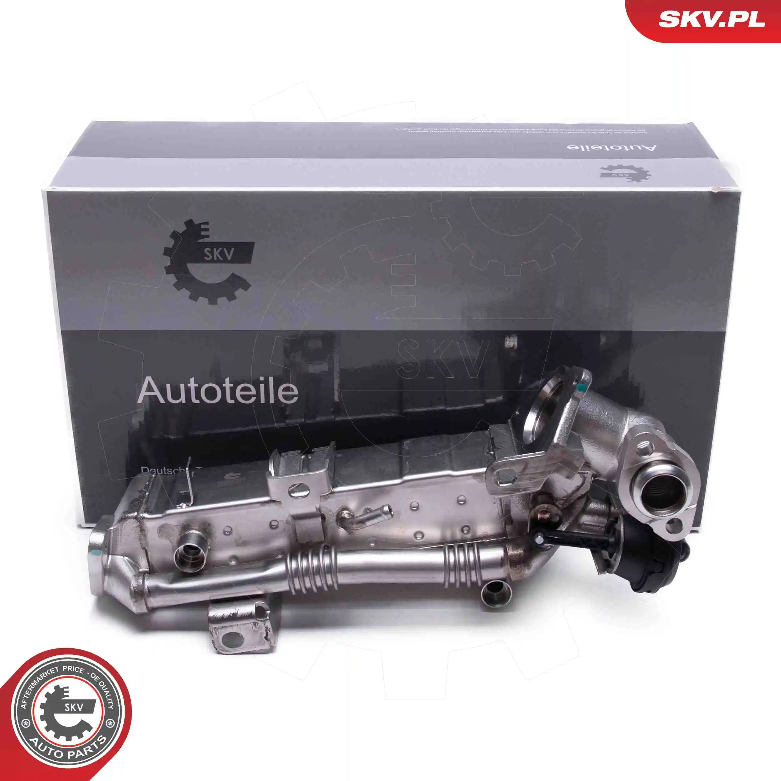 EGR Valve